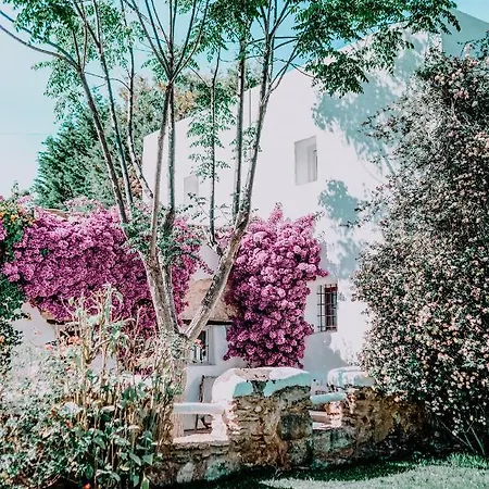 Hotel Can Sastre Santa Gertrudis  Exterior photo